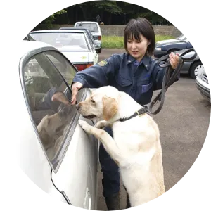 東京税関麻薬探知犬訓練センター 吉田 千春さん